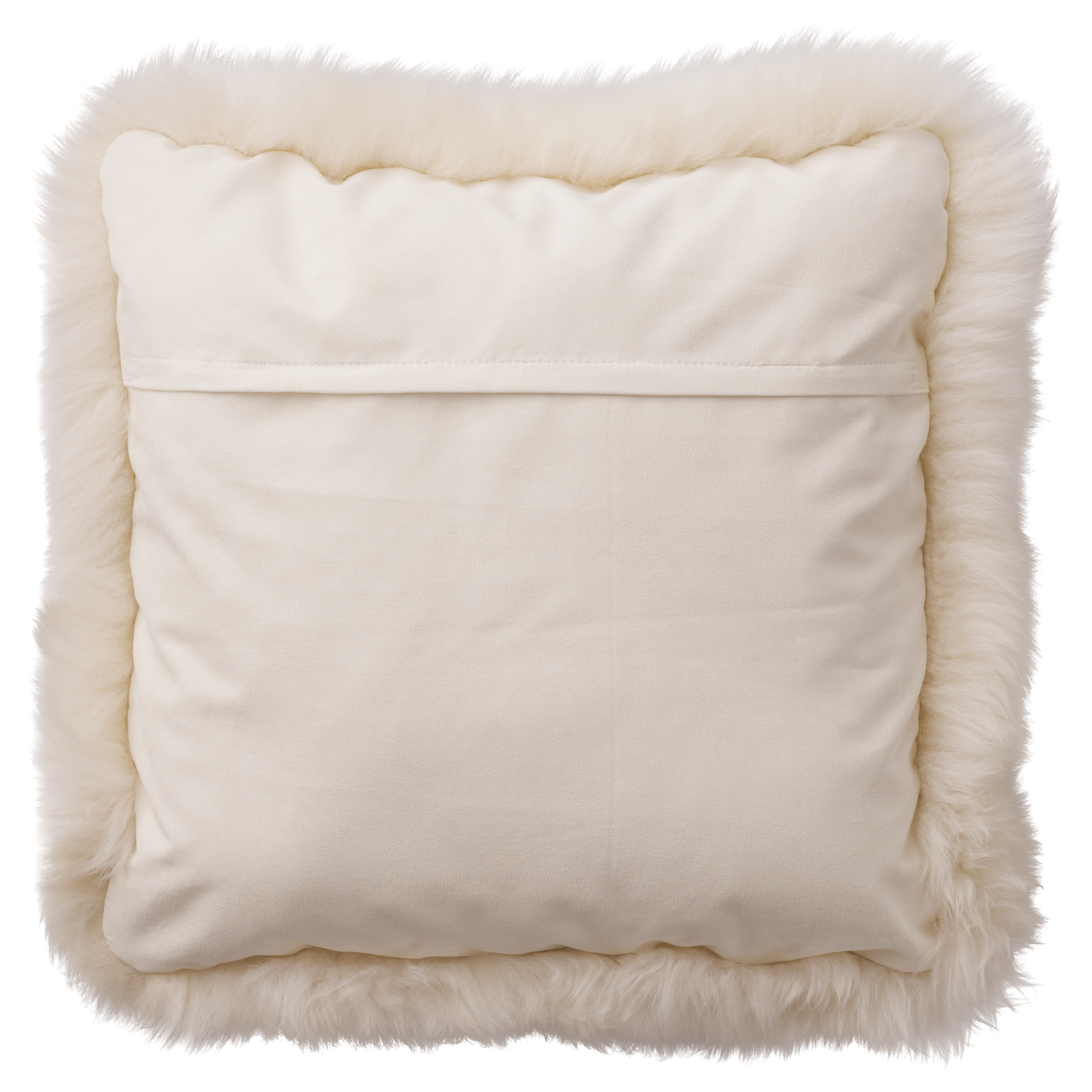 2905313_PNG-Web 72dpi.png
